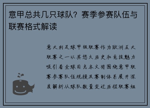 意甲总共几只球队？赛季参赛队伍与联赛格式解读