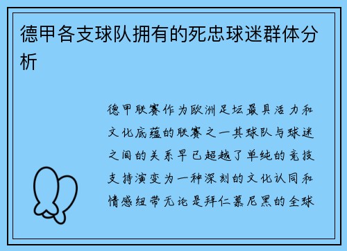 德甲各支球队拥有的死忠球迷群体分析